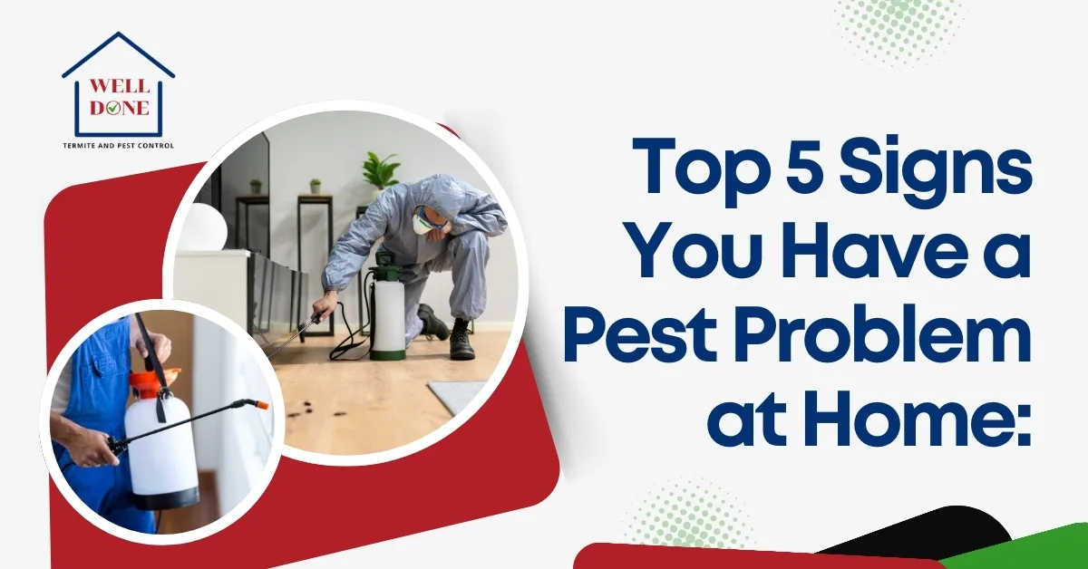 Top 5 Signs You Have a Pest Problem at Home: When to Call a Professional