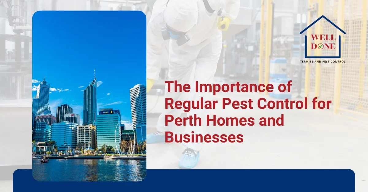 The Importance of Regular Pest Control for Perth Homes and Businesses